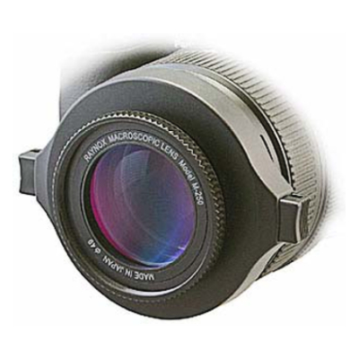 Raynox DCR-250 Super Macro Conversion Lens